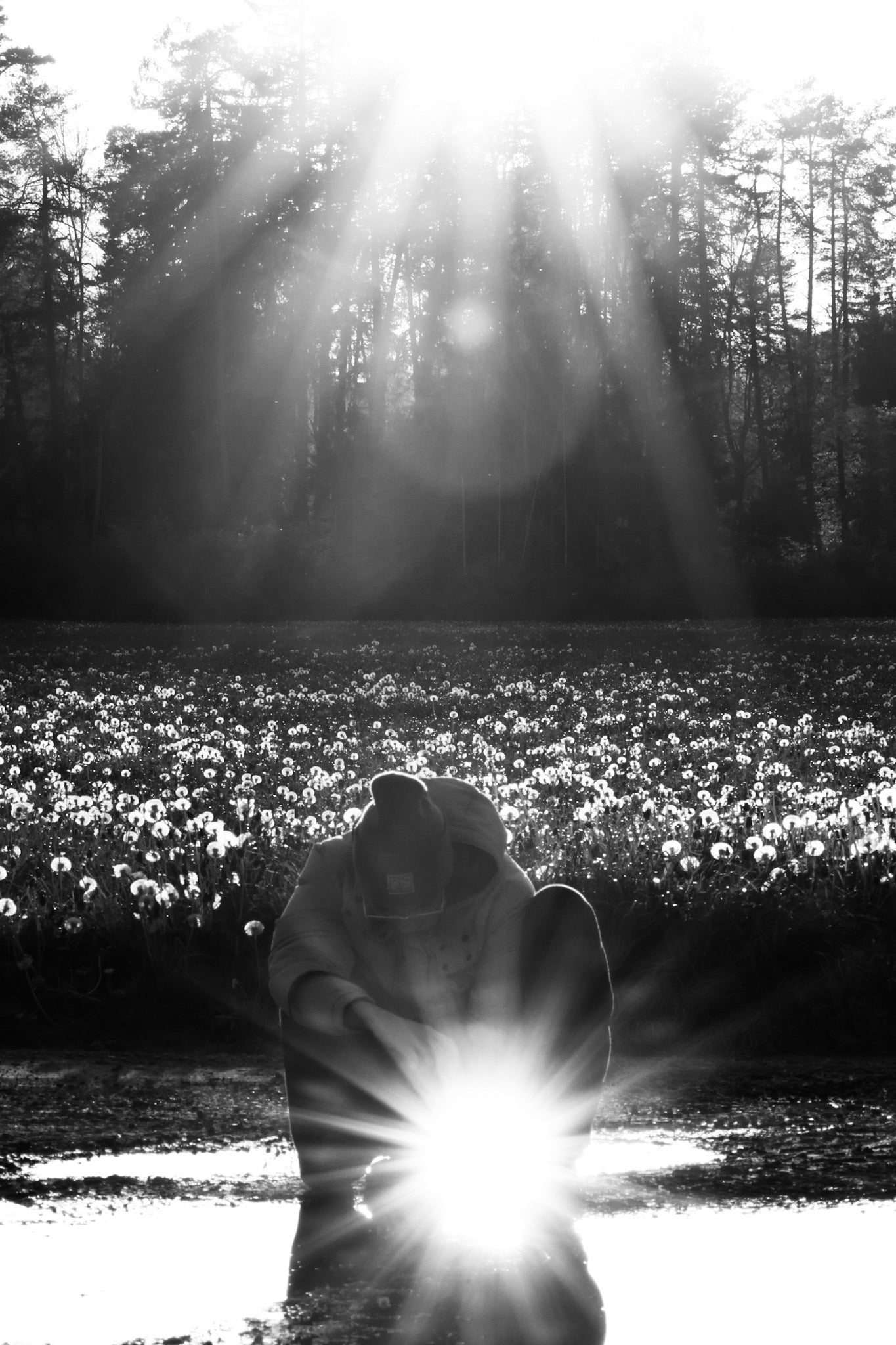 Catching Sunlight